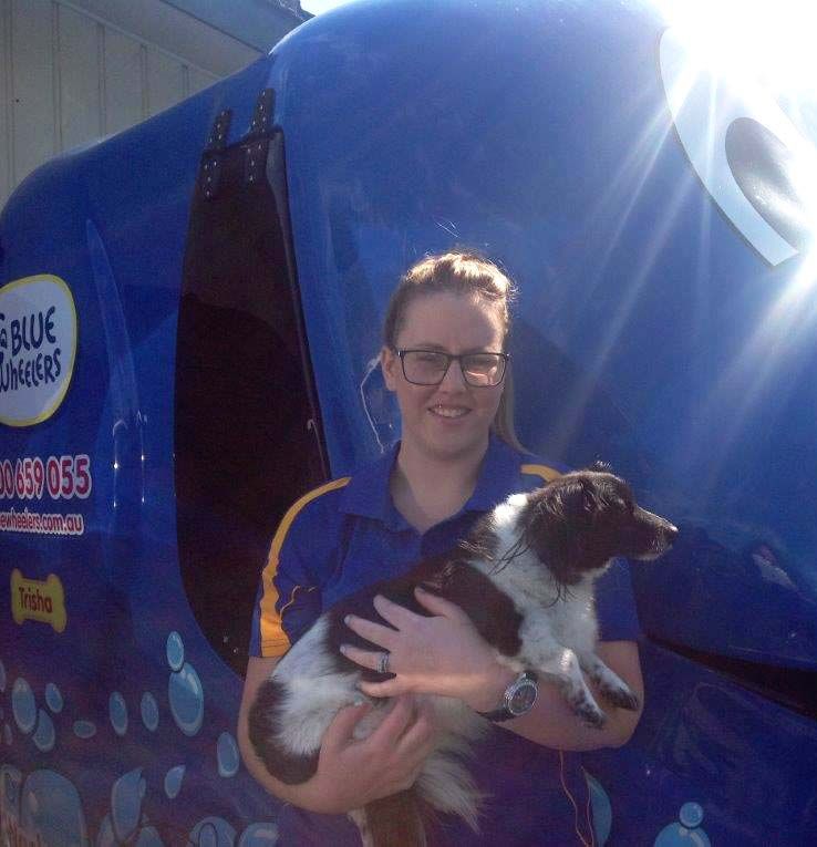 Blue Wheelers Maitland Blue Wheelers